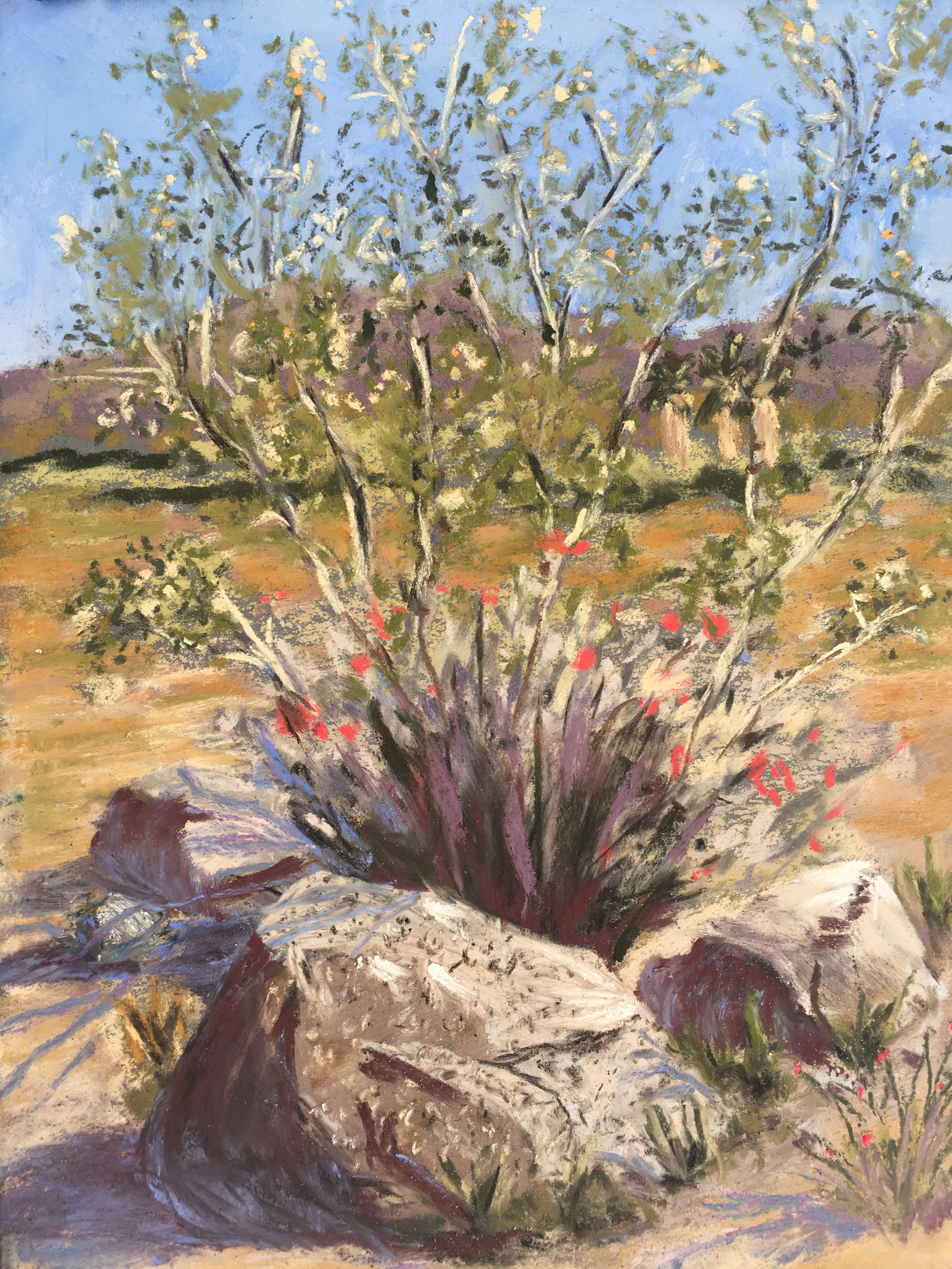 C11D967D-BB61-402A-A640-5FE7E03EA757